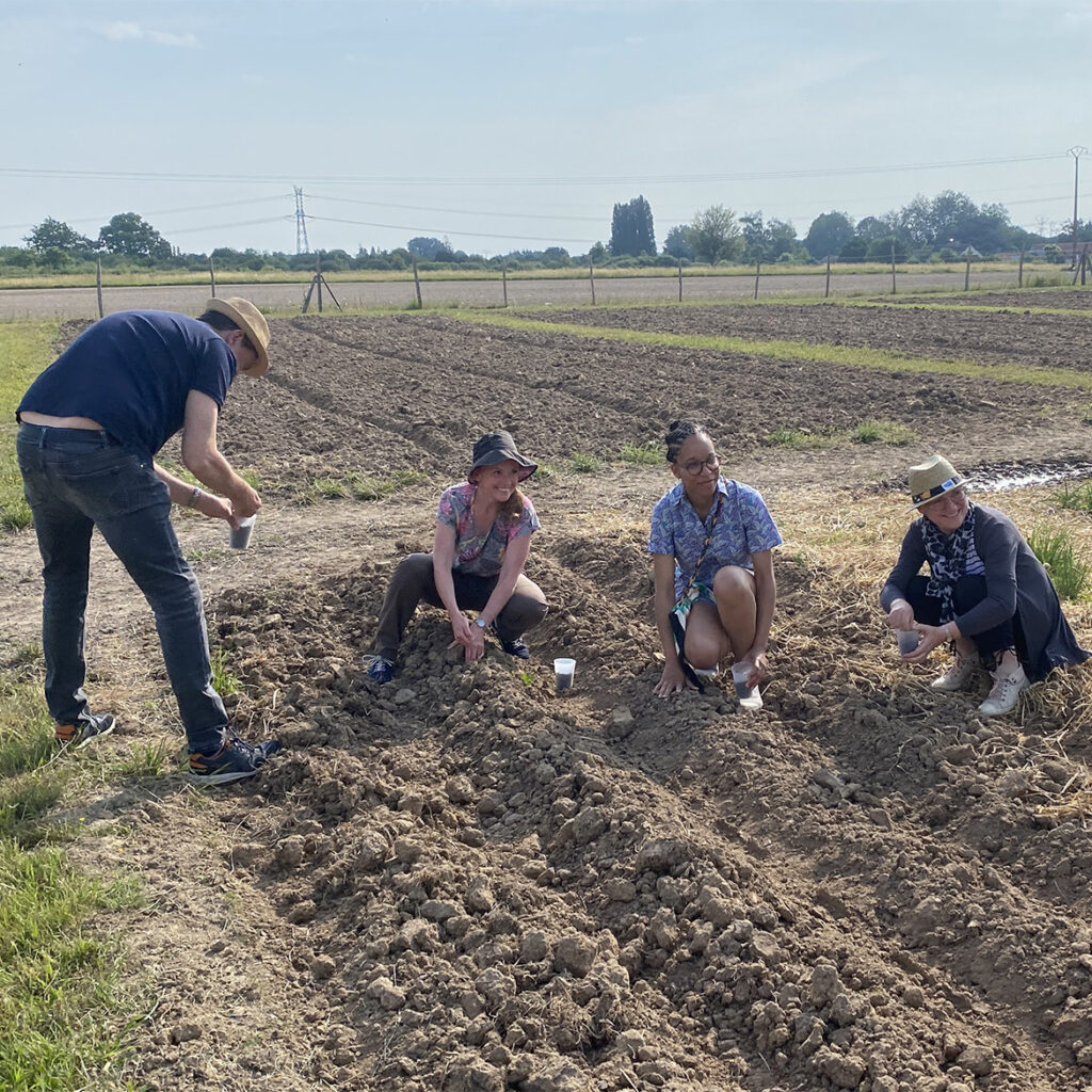 Participation au jardin : quatre personnes sèment des graines