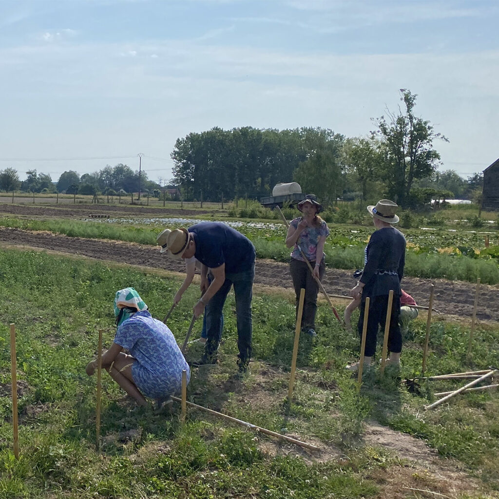 Travail de la terre