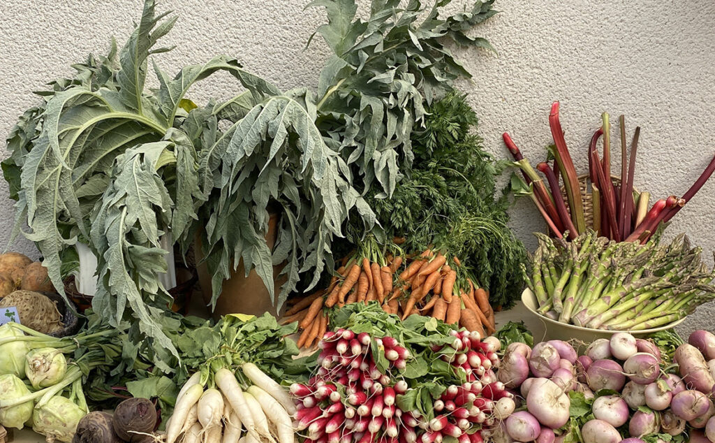 Bel étalage de légumes bio des Jardins de la voie romaine