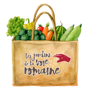 Un panier de légumes bio des Jardins de la voie romaine